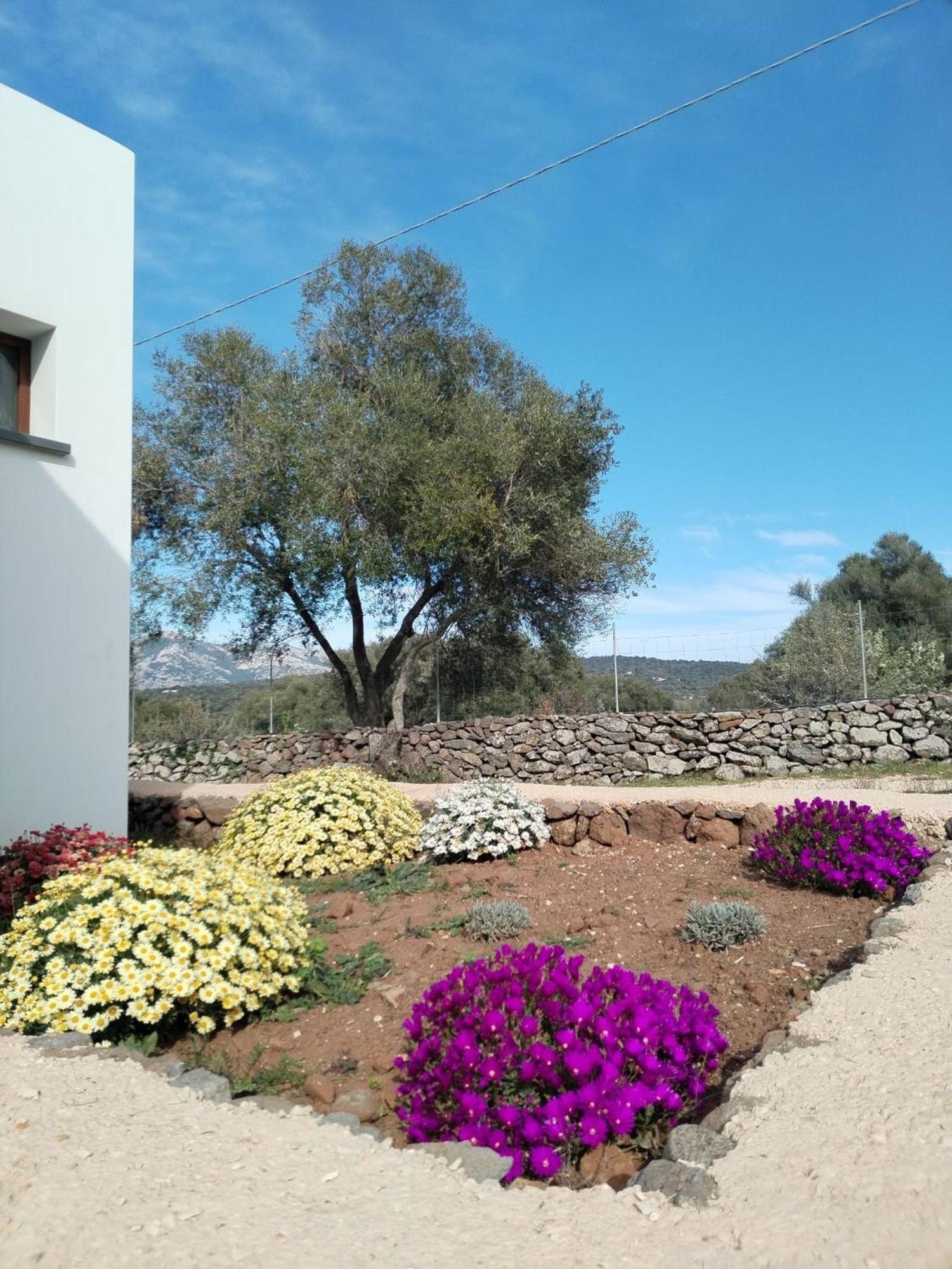 Farmhouse La Croisette - Agriturismo Dorgali Εξωτερικό φωτογραφία