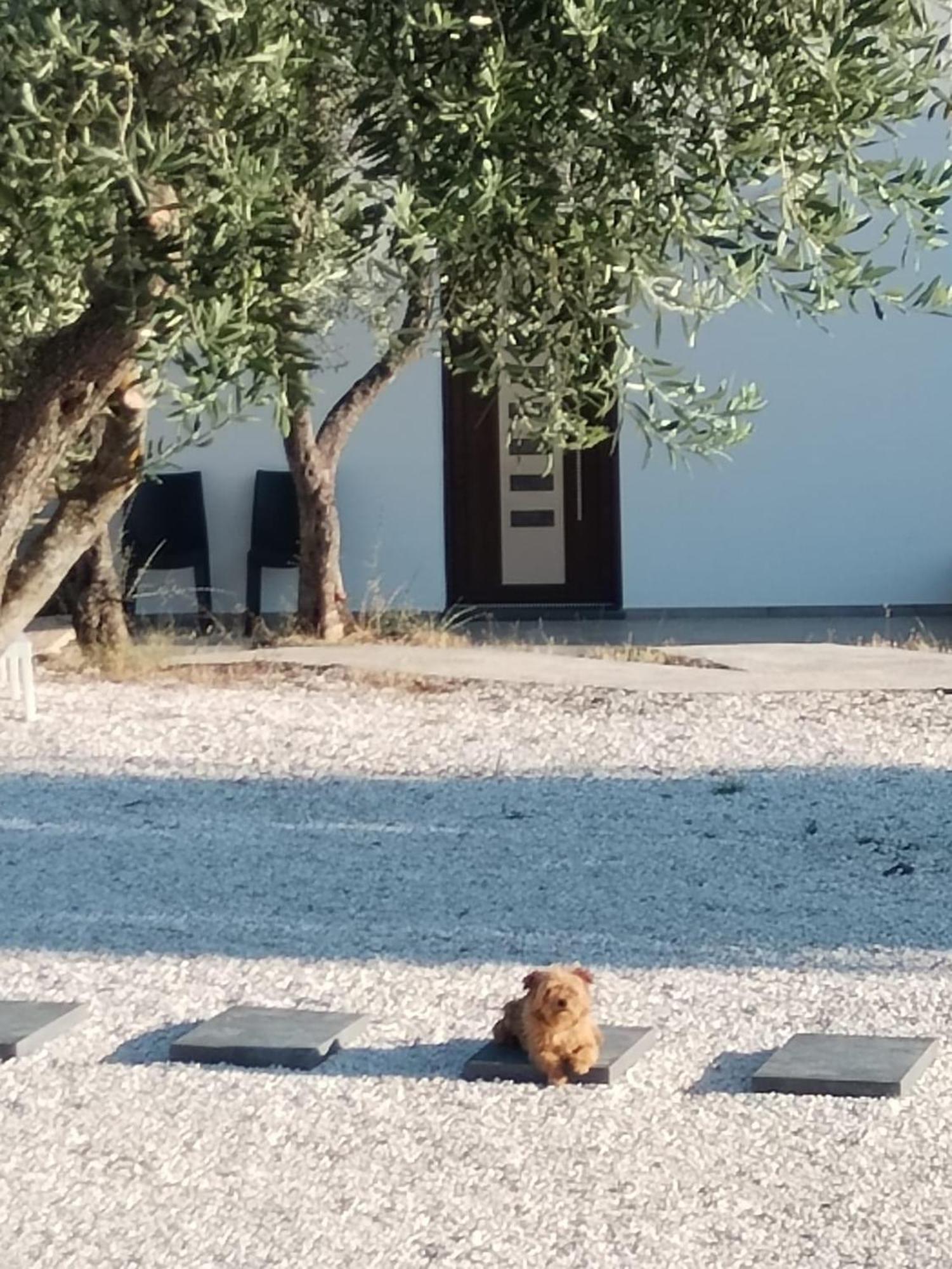 Farmhouse La Croisette - Agriturismo Dorgali Εξωτερικό φωτογραφία
