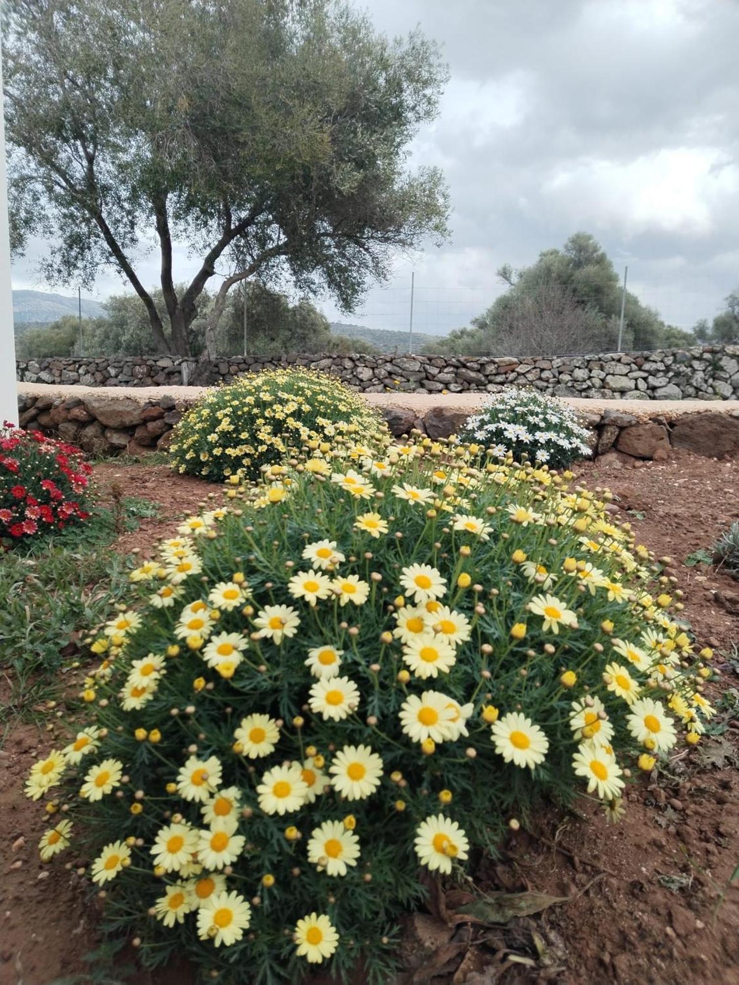Farmhouse La Croisette - Agriturismo Dorgali Εξωτερικό φωτογραφία
